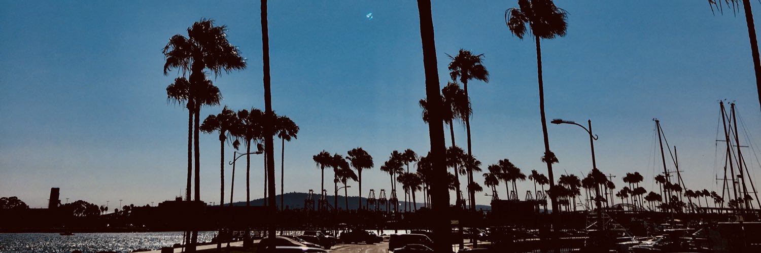 ella b banner