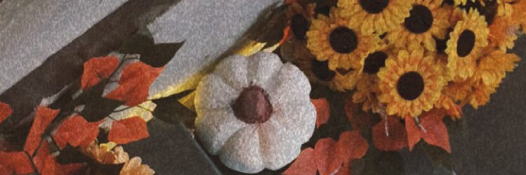 Fuuun. banner