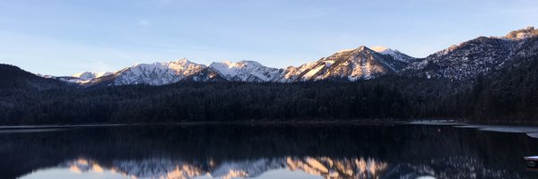 driti_ashok Profile Banner