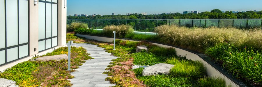 Next Level Stormwater Management banner