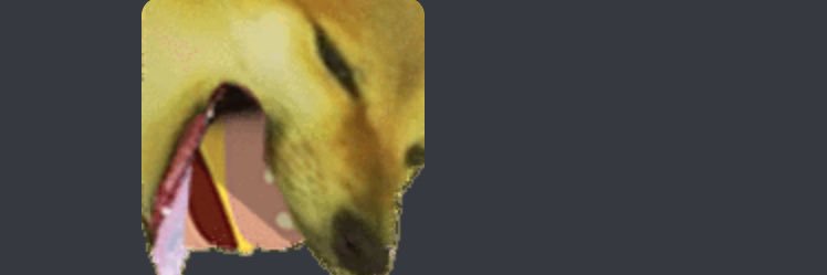 RoocTheRooc's profile banner image