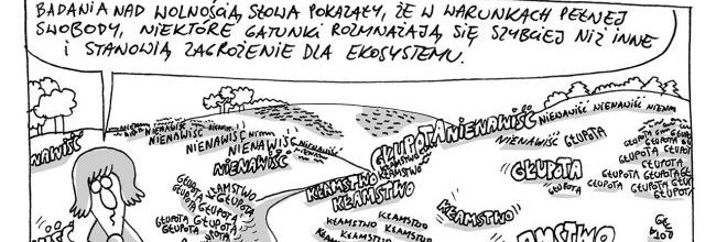 Najważniejszy Kot-Pierwszy z 12 mln banner