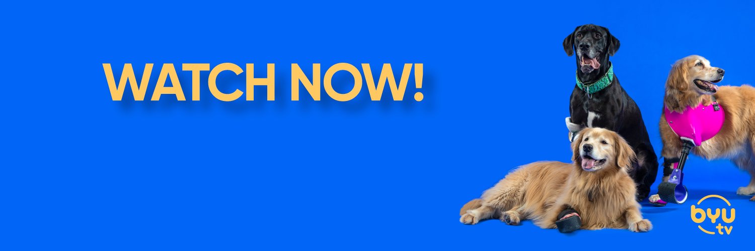 The Wizard of Paws banner