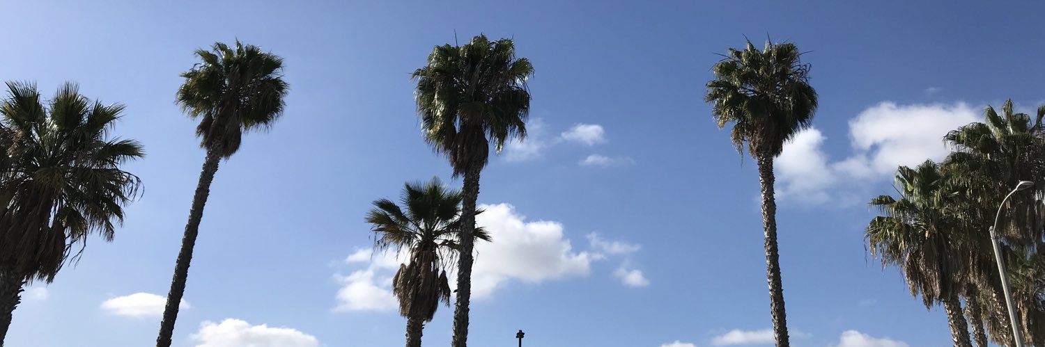 Maiko Morotani banner