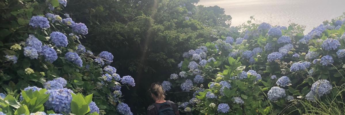 HelenDunne02's profile banner image