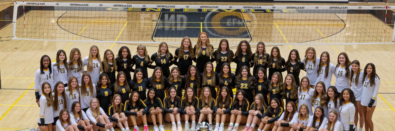 Centerville Lady Elks VB banner