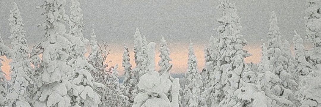 RustyAkuma's profile banner image