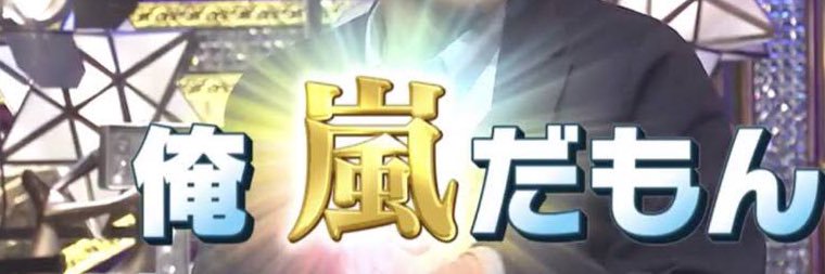 すずめばち🐝 banner