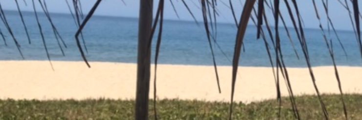 jndsdinho's profile banner image