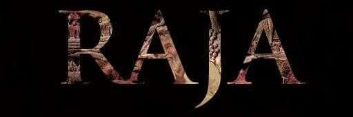 srajaa's profile banner image