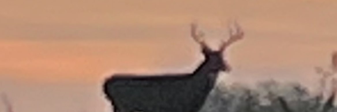Srode27's profile banner image
