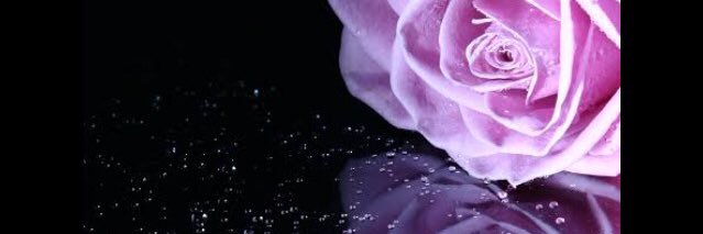anggitasyaula's profile banner image