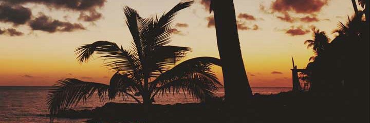 spoct95's profile banner image