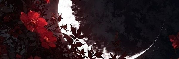 lishenlvr Profile Banner