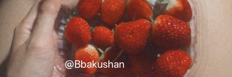 🌲 banner