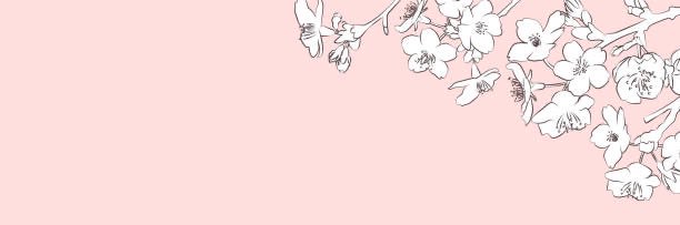 white🤍's banner