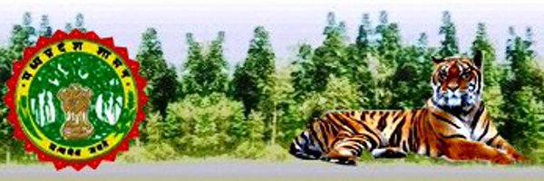 mpforestdept Profile Banner