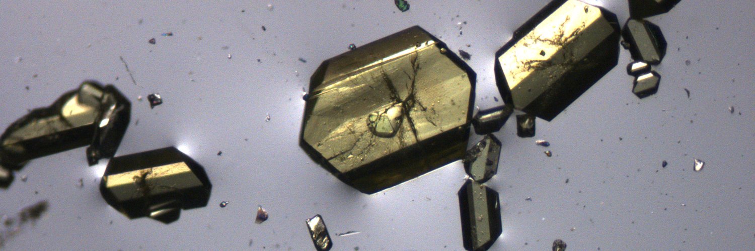 Malte Fischer banner