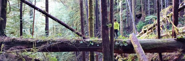 KuriousKate90 Profile Banner