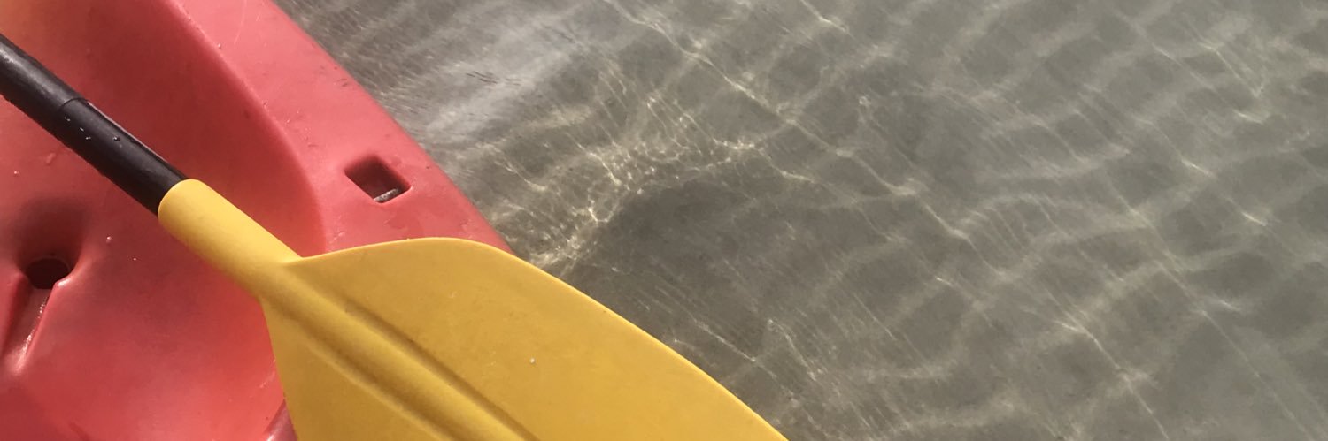 🦖 banner