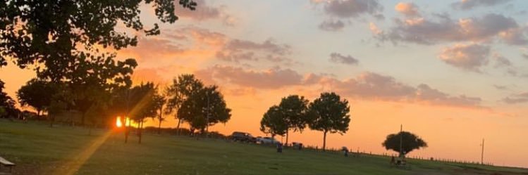 Drivenbylight banner