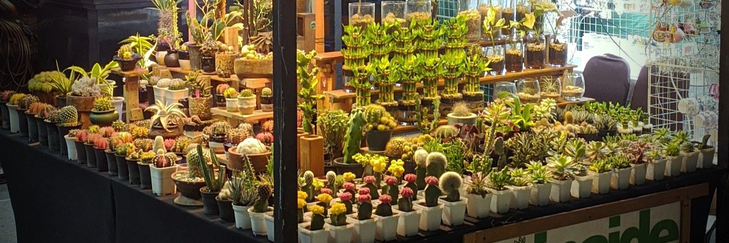 ✁_ _ _ _ _ _ _ cut here banner