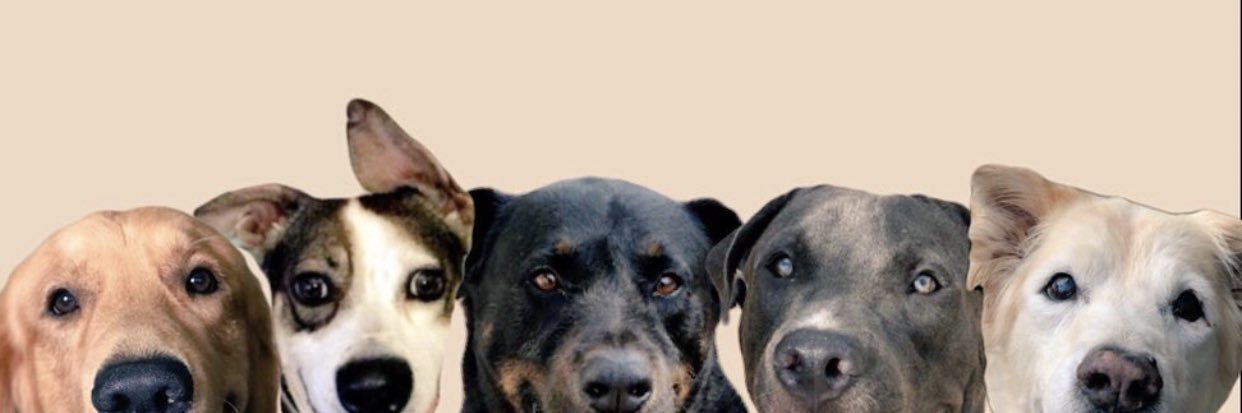 ruu_booo's profile banner image