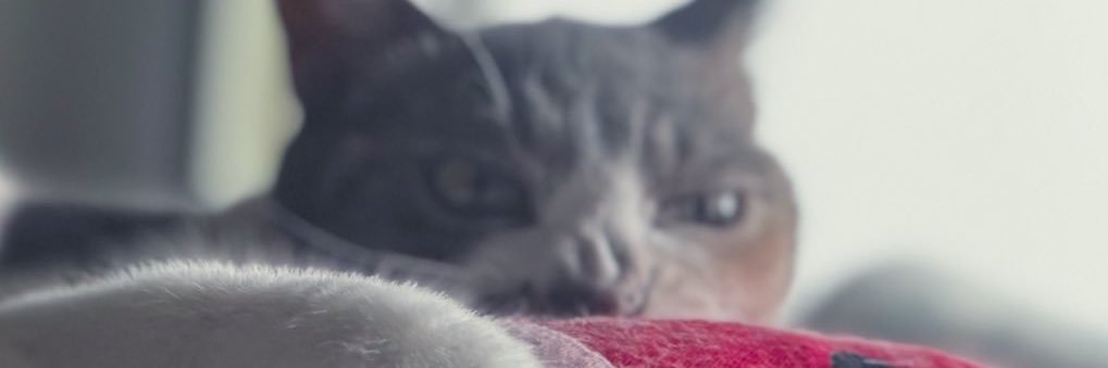 えみや banner
