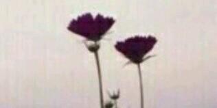 roory201498's profile banner image
