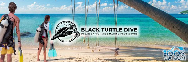blackturtledive Profile Banner