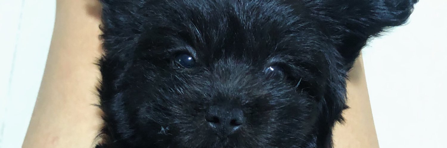 melacabansay's profile banner image