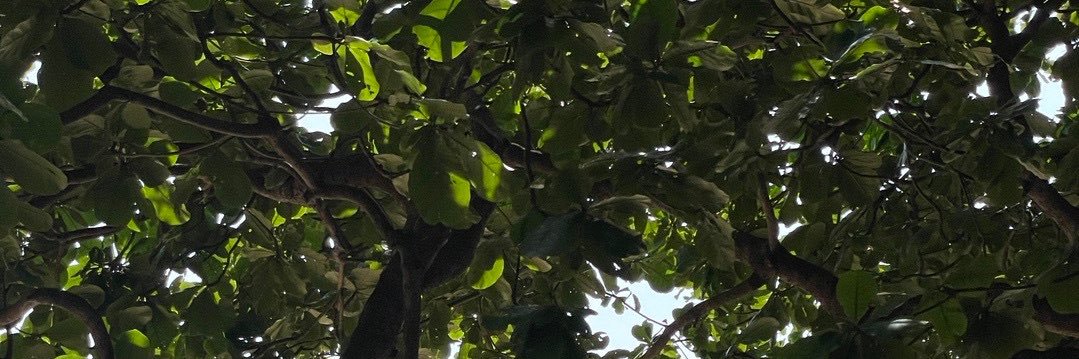 zzsxddengd's profile banner image