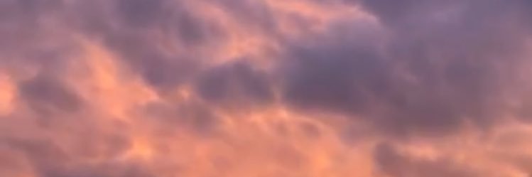 emmabergamasco's profile banner image