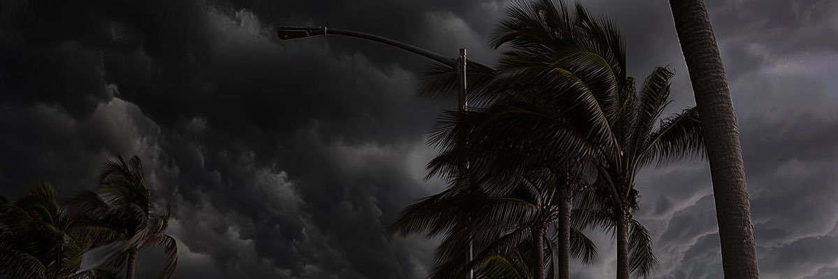 omgllll_'s profile banner image