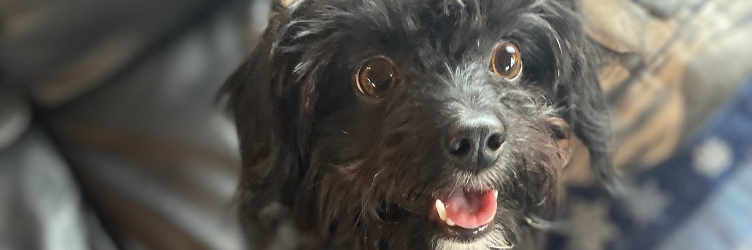 AmyPWhelan's profile banner image