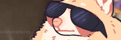 La Mapacha banner