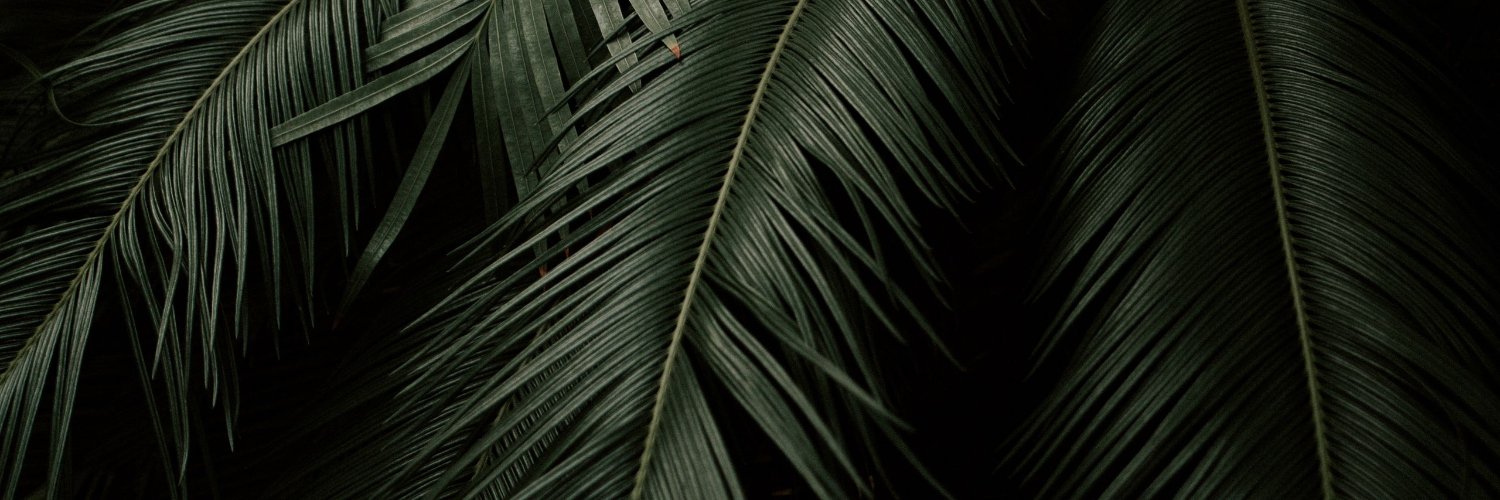Brianwebb's profile banner image