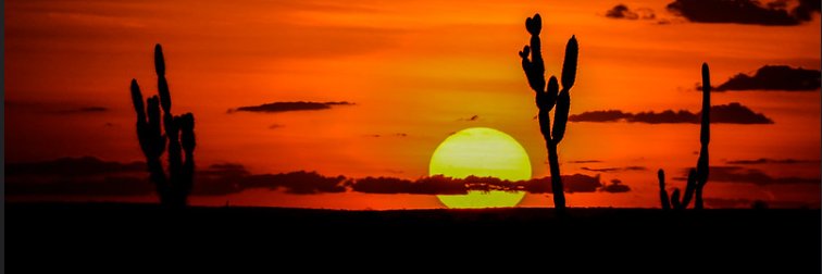 GilAlves88's profile banner image