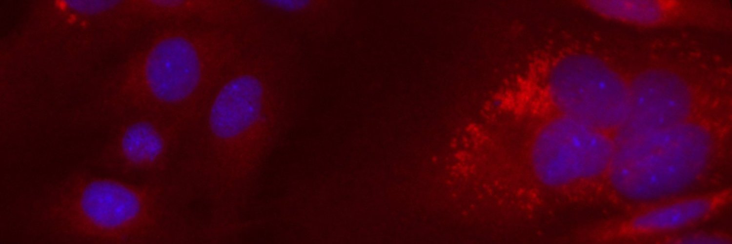 e_jvelez's profile banner image