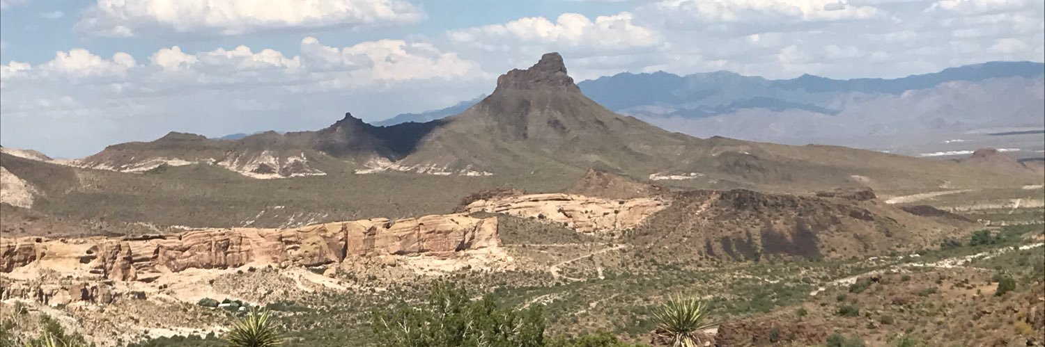 Arizona Mule ... 🌵🇺🇸🍺 🥓 banner