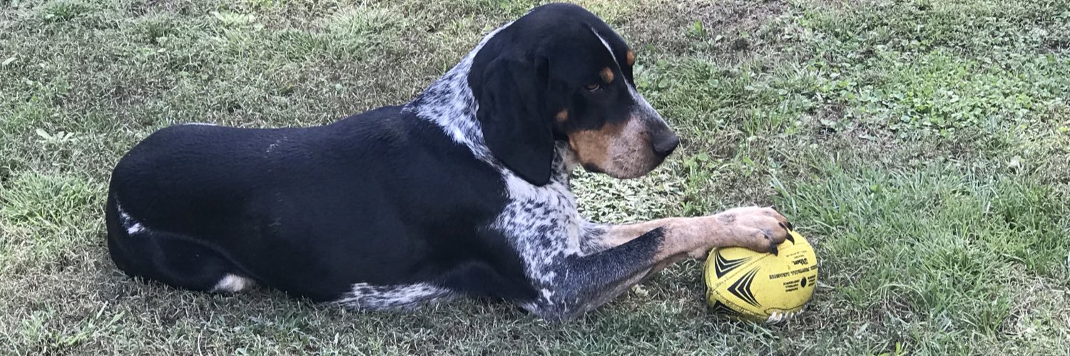 SBluetick's profile banner image