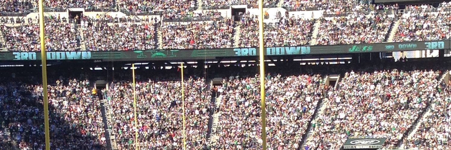 @roygNFL banner