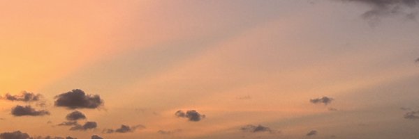 simikunleoni Profile Banner