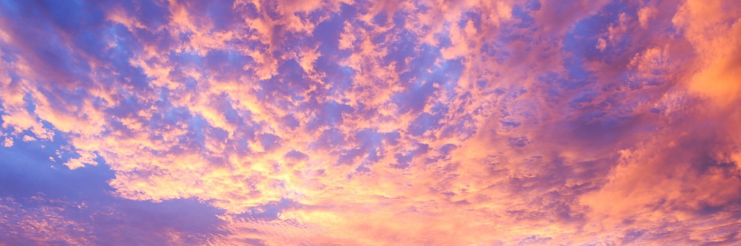 lisa__bdr's profile banner image