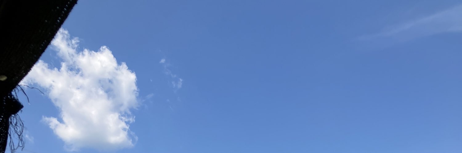 pyorukichi's profile banner image
