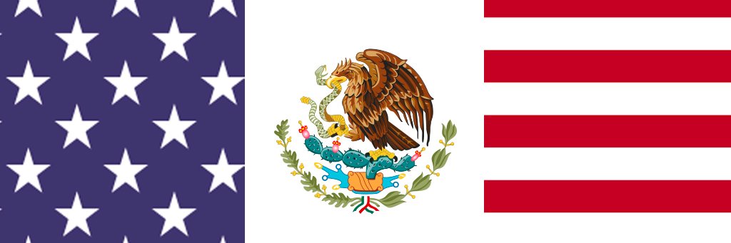 CDMX Gringo banner