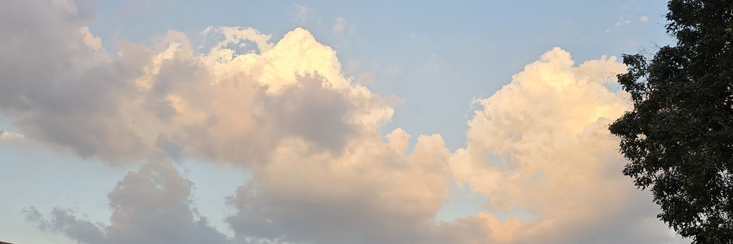 ntper_pp's profile banner image