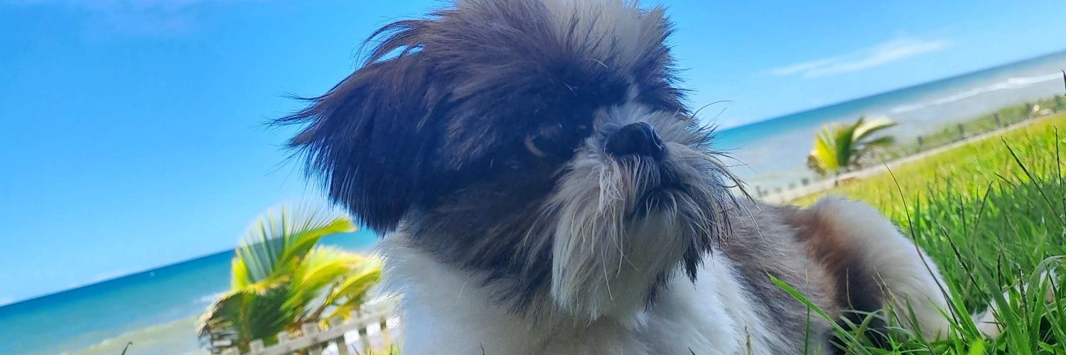 hilderlande's profile banner image