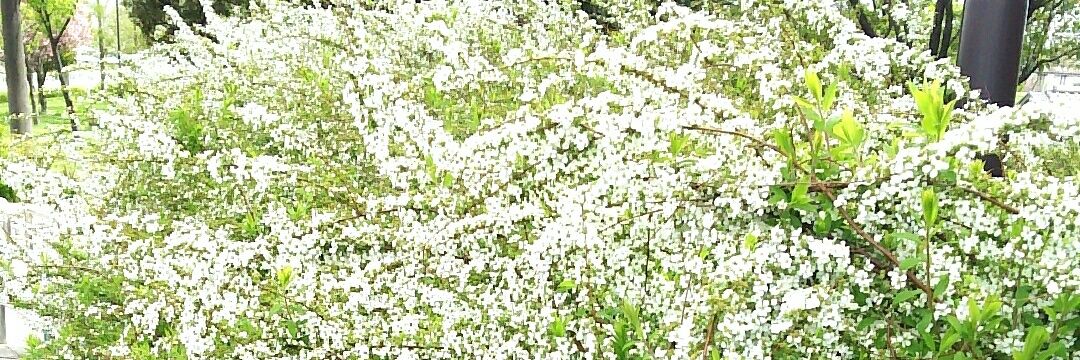 mi_tan1127's profile banner image