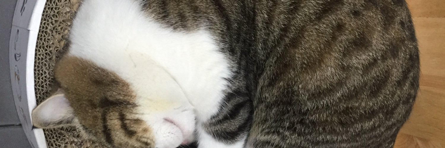 teoiph's profile banner image